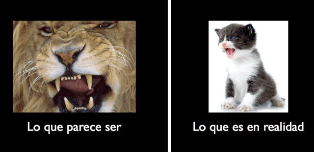 Leon vs Gatito